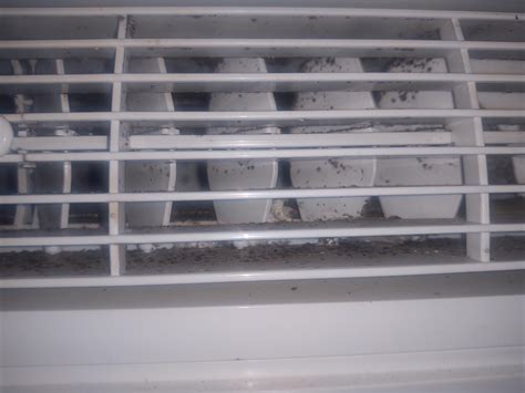 Black mold in air conditioner. Things To Know About Black mold in air conditioner. 